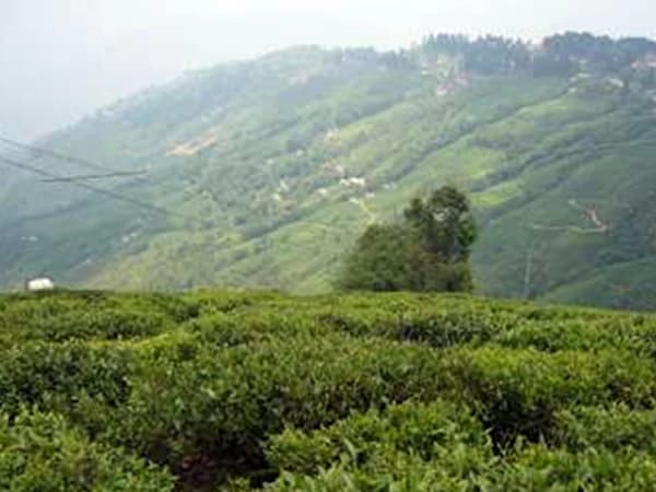 Best Place to Visit in Darjeeling