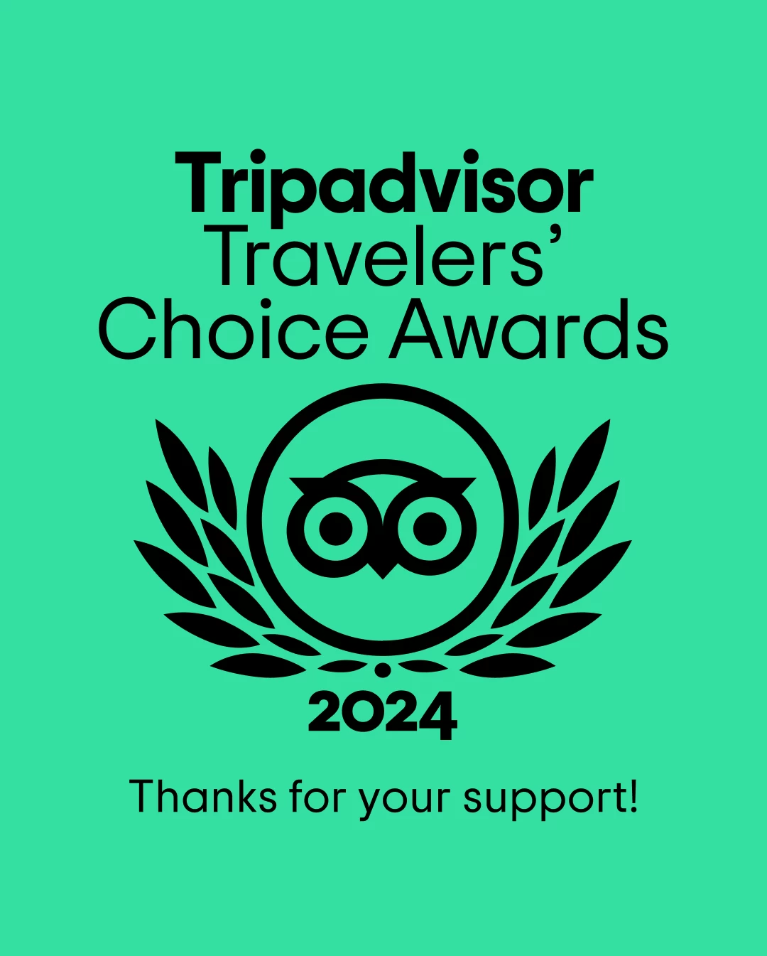 TripAdvisor Travelers Choice Award 2024