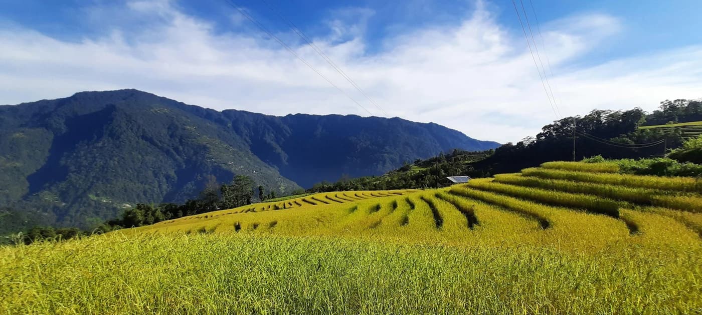 Day Tours in Sikkim