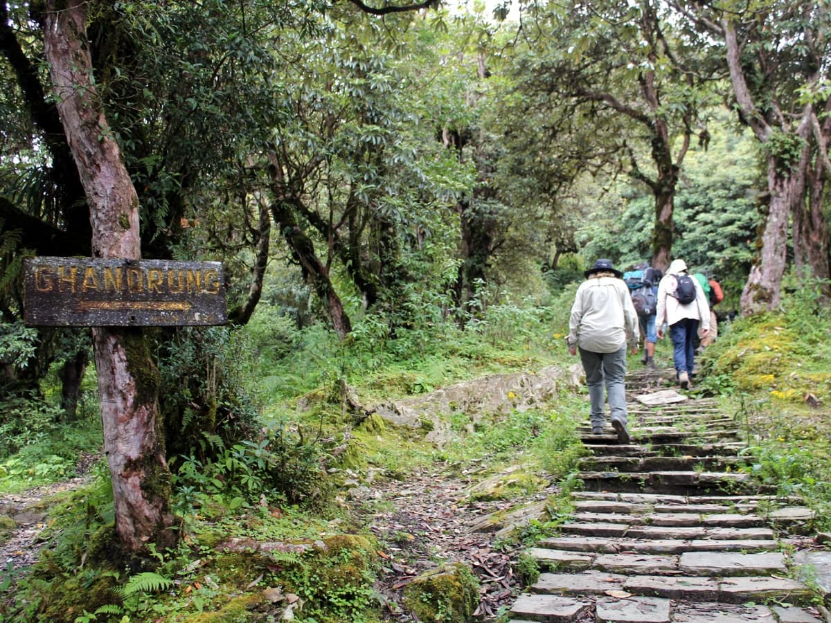 Ghorepani Poon Hill Trek - 10 Days