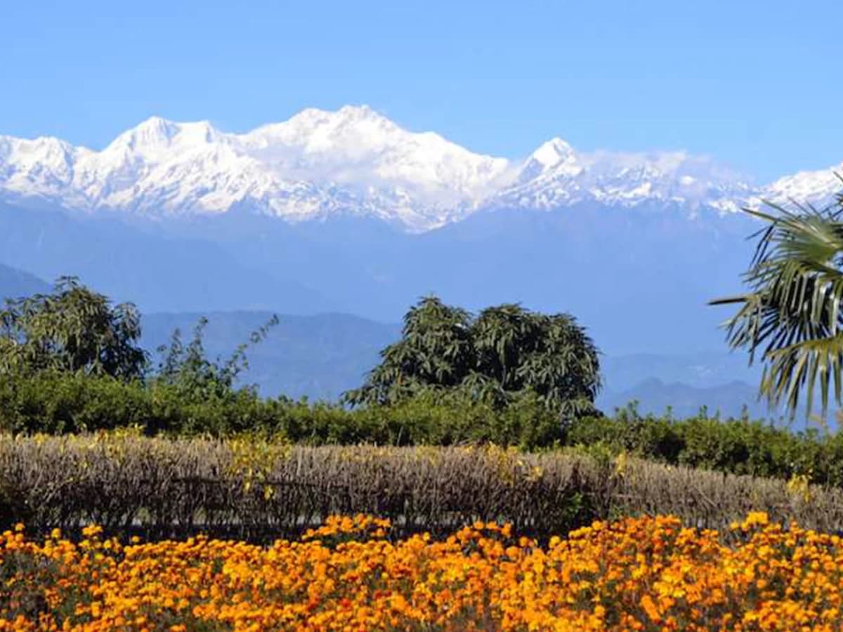 Best Honeymoon Tour in Darjeeling Sikkim