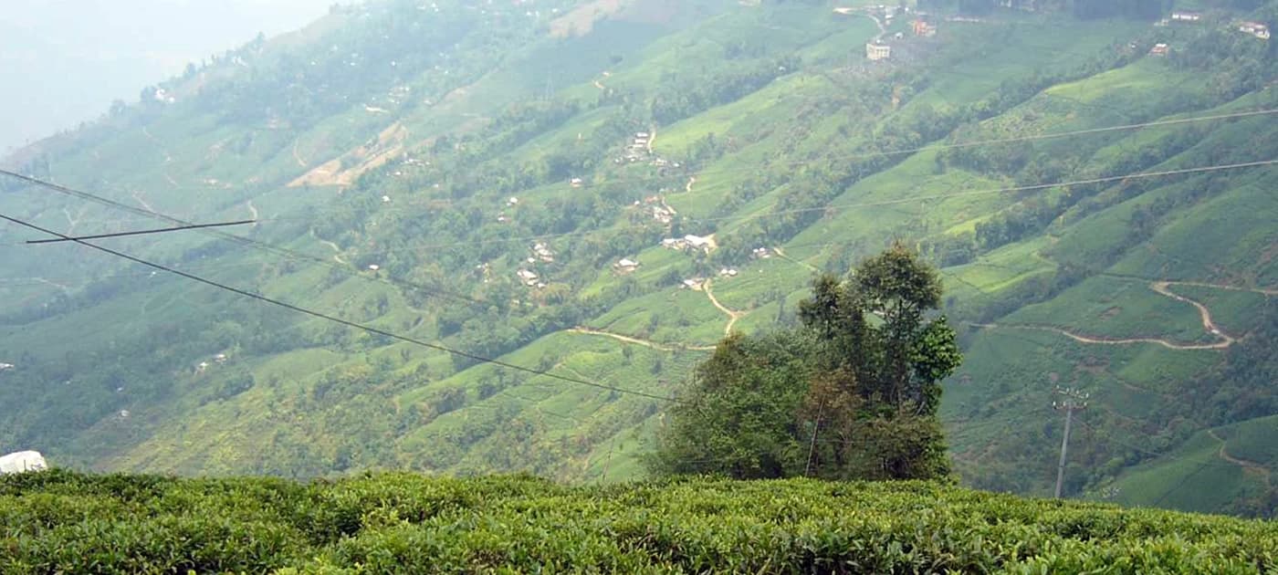 Best Place to Visit in Darjeeling