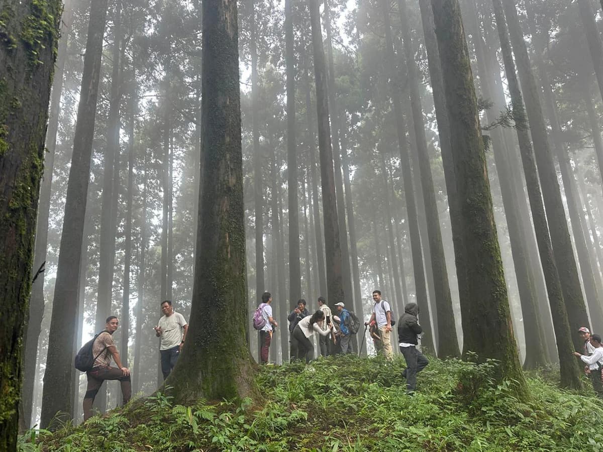 1cb1c72e F9bf 4674 B6ea 508118d412dc