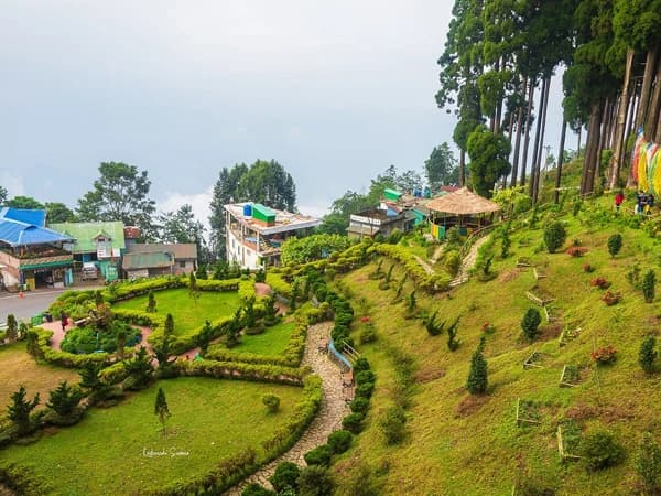 Takdah Tinchuley and Lamahatta Day Tour