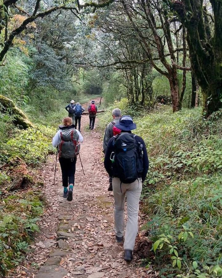 Discover Nature Walk