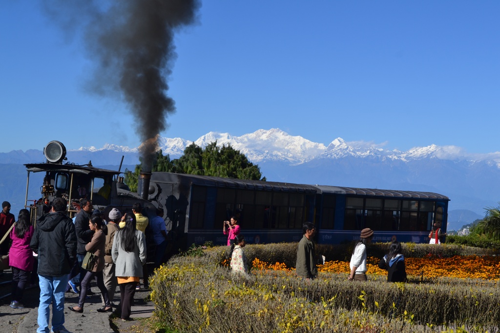 darjeeling_toy_train 