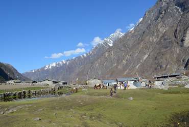 Langtang Region