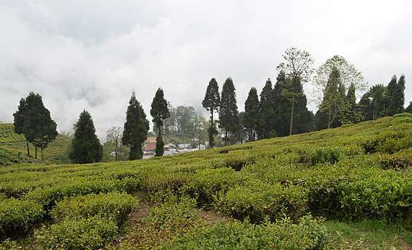 One Day Hike in Sikkim