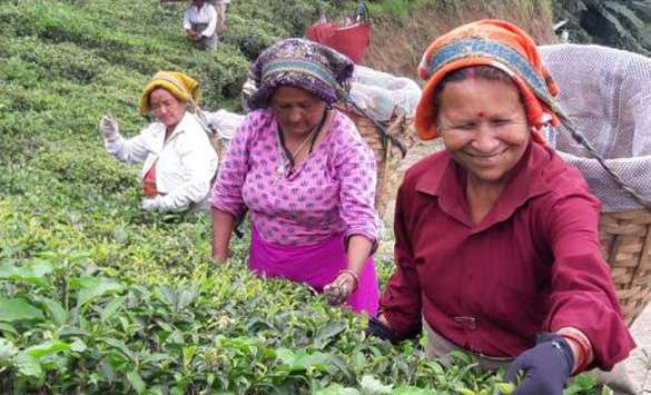 Tours in Darjeeling