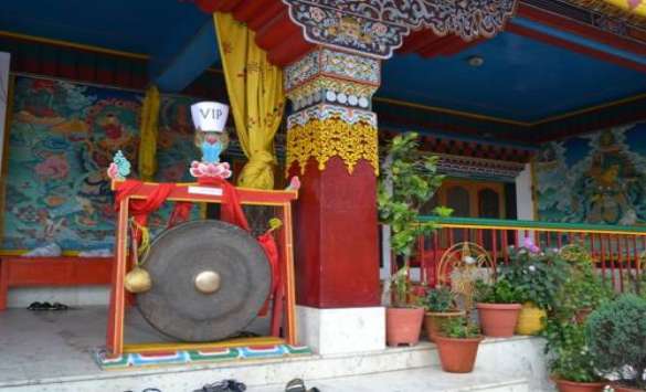Tours in Sikkim