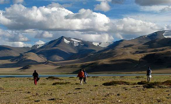 Trekking in Ladakh