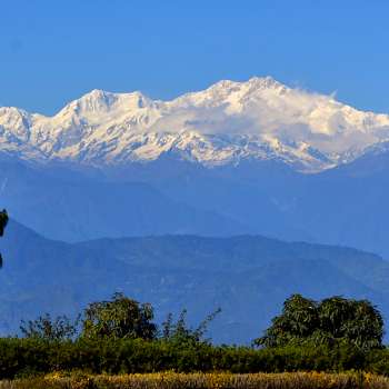 Mt.Kanchenjunga seen from Chatakpur Day Trek