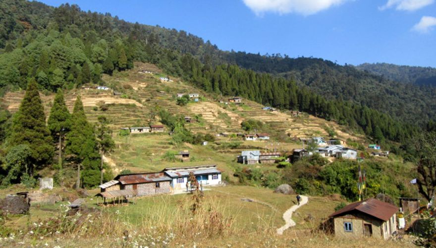 Darjeeling Gorkhey Timburey Home Stay Trek