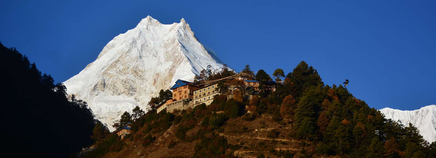 Foods on Mountain