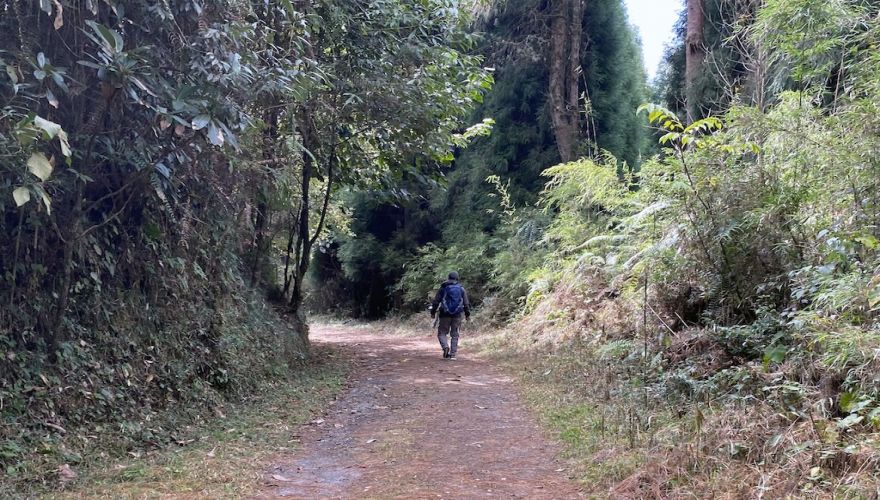 Darjeeling Senchal Wildlife Sanctuary Sonada Hike