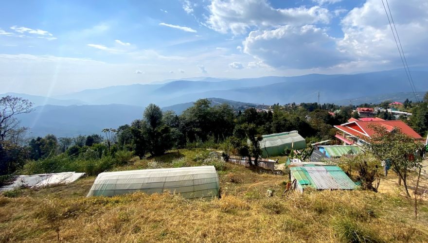 Darjeeling Senchal Wildlife Sanctuary Sonada Hike