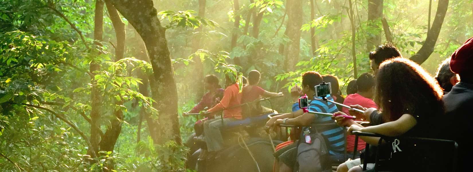 Jaldapara National Park