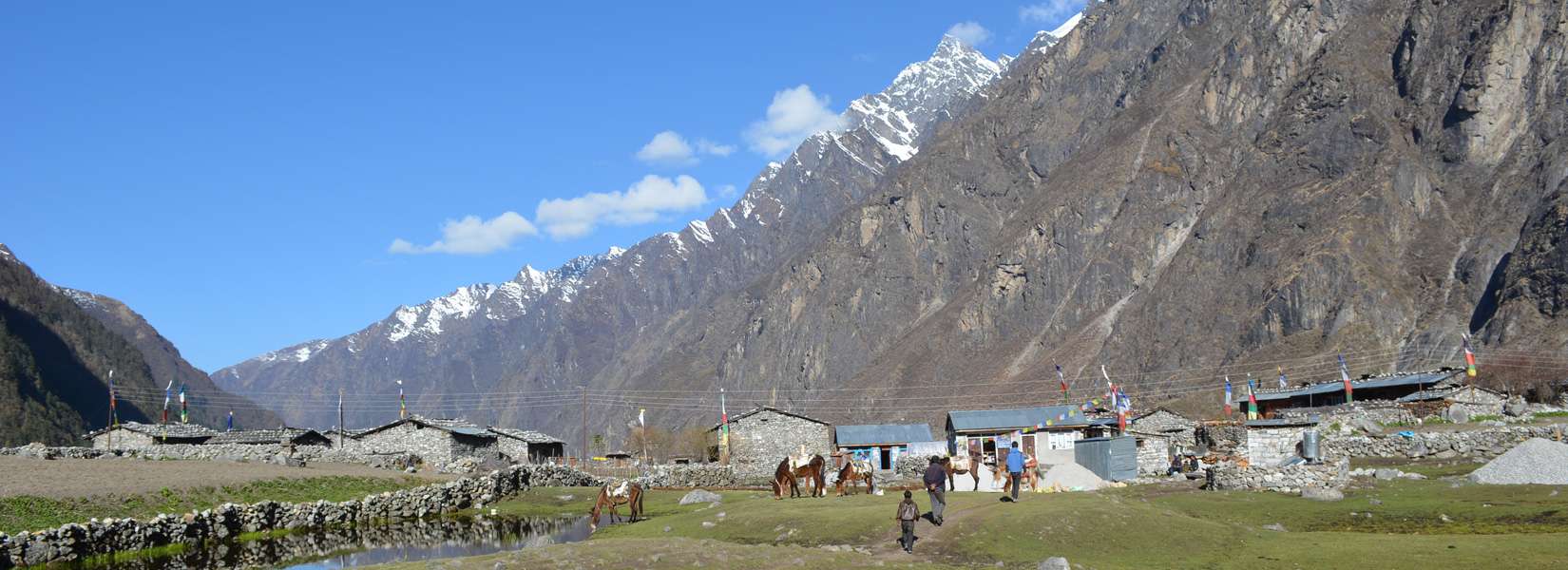 Langtang Region