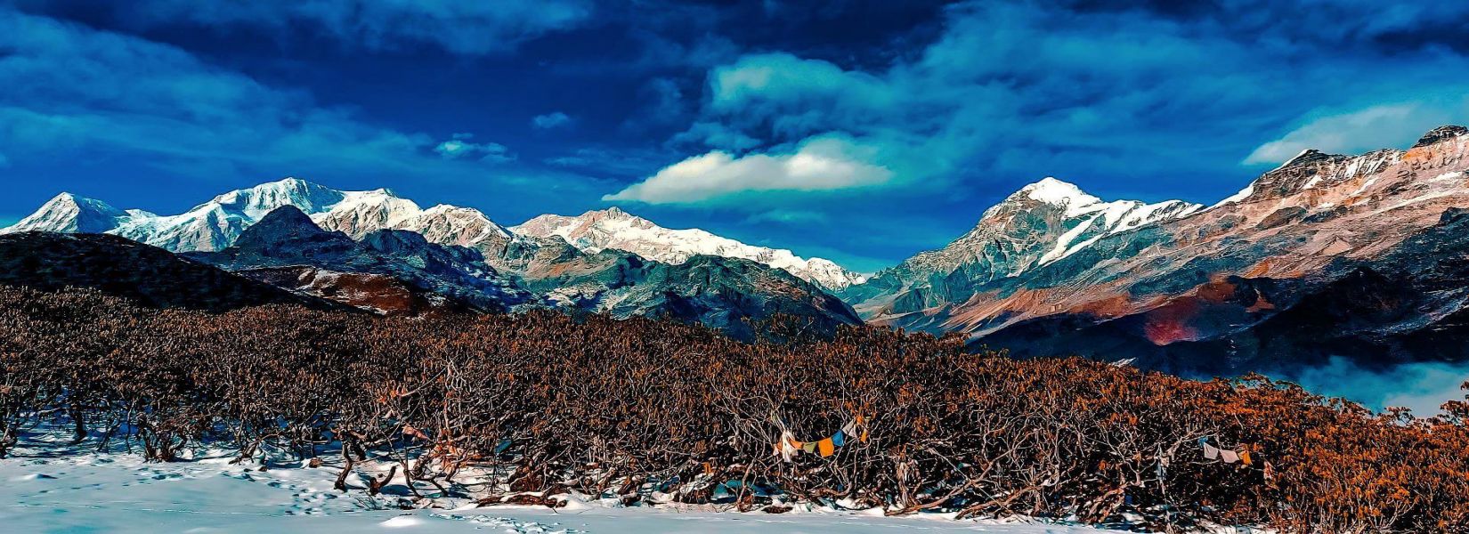 Why Sandakphu Trek is a must-do for all nature lovers