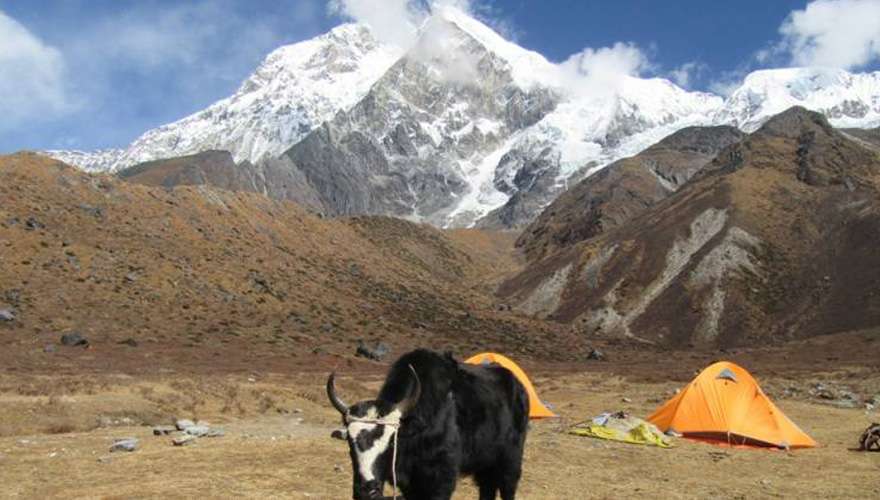 Mt. Thingchinkhang Expeditions in Sikkim