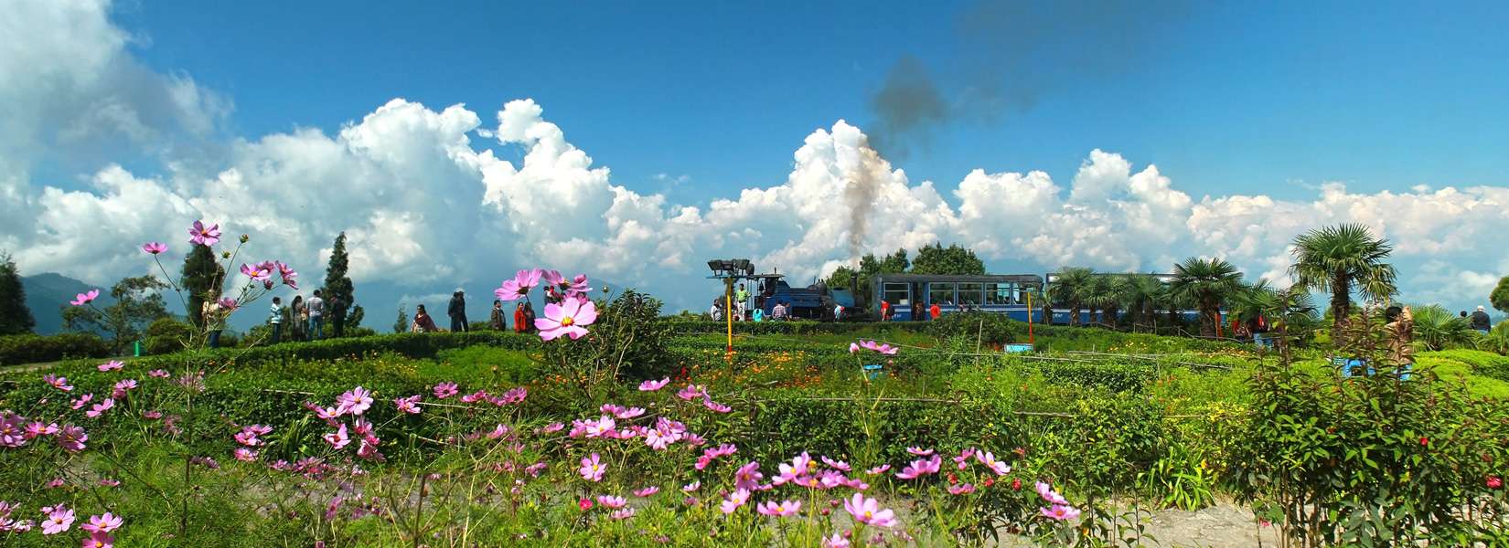 Things to see in Sikkim & Darjeeling