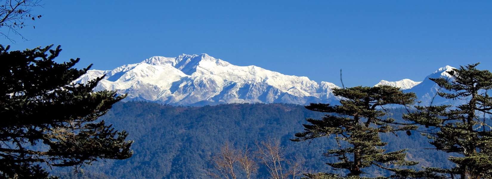 Trekking in Darjeeling Himalayas