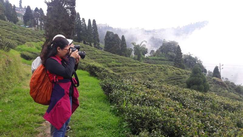 Best Honeymoon Tour in Darjeeling Sikkim