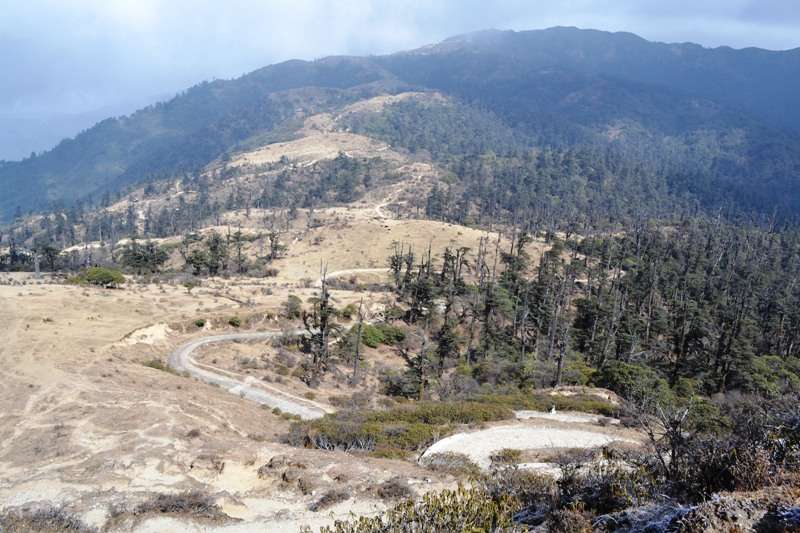 Jeep Safari tours to Darjeeling Singalila National Park