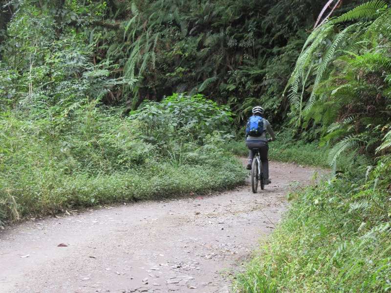 Cycling through Senchal Wildlife sanctuary