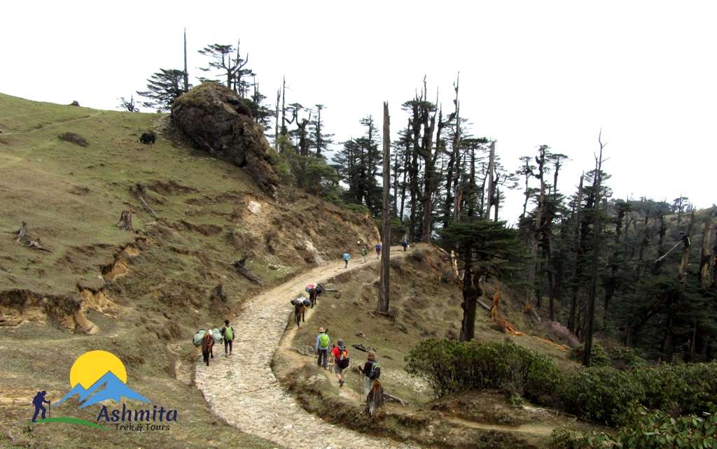Jeep Safari tours to Darjeeling Singalila National Park