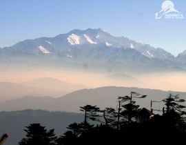 View of Mt Kanchenjunga from Sandakphu