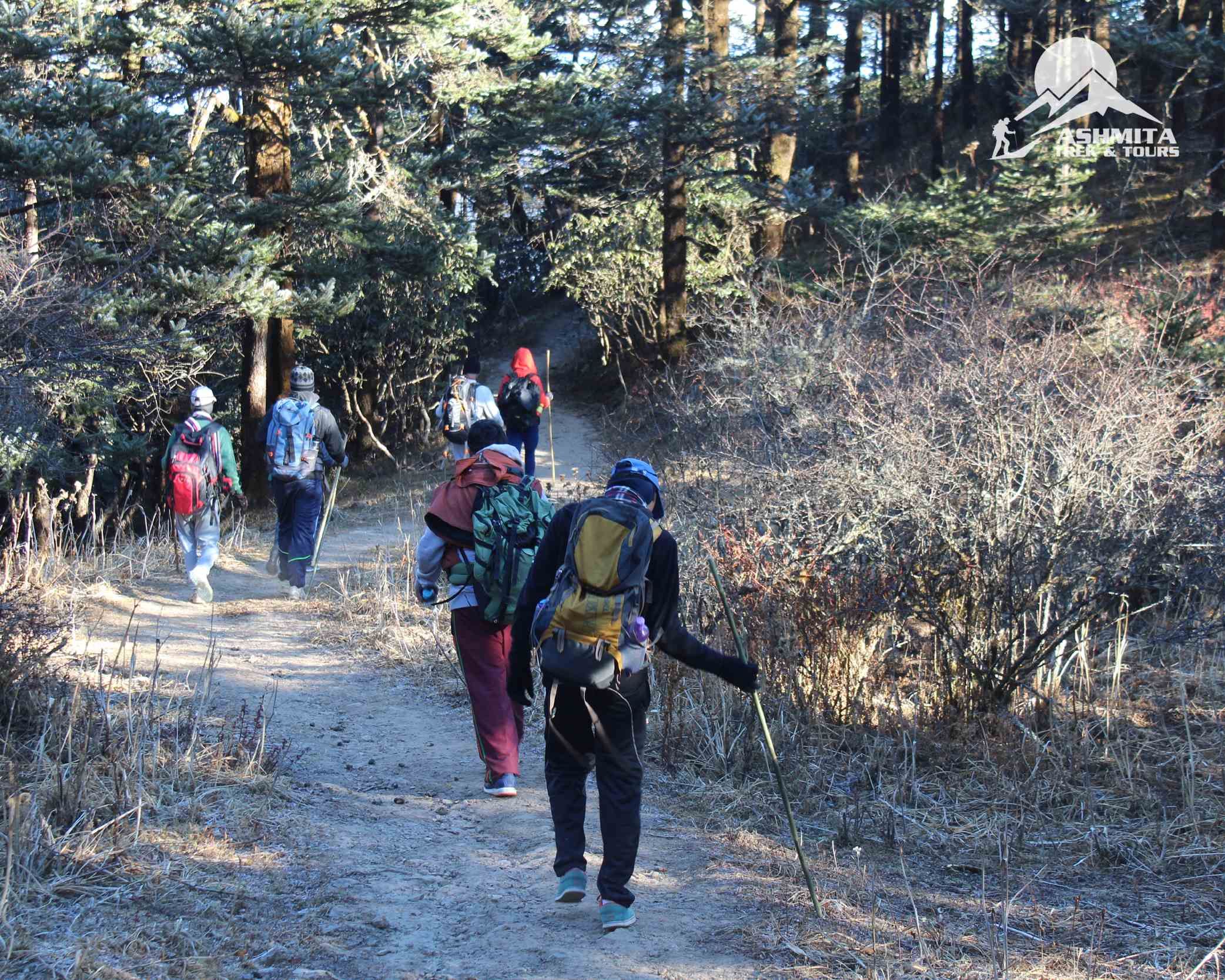Trekkers during the trek through dense forest